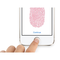 Bag u Apple-ovom Touch ID? [VIDEO]